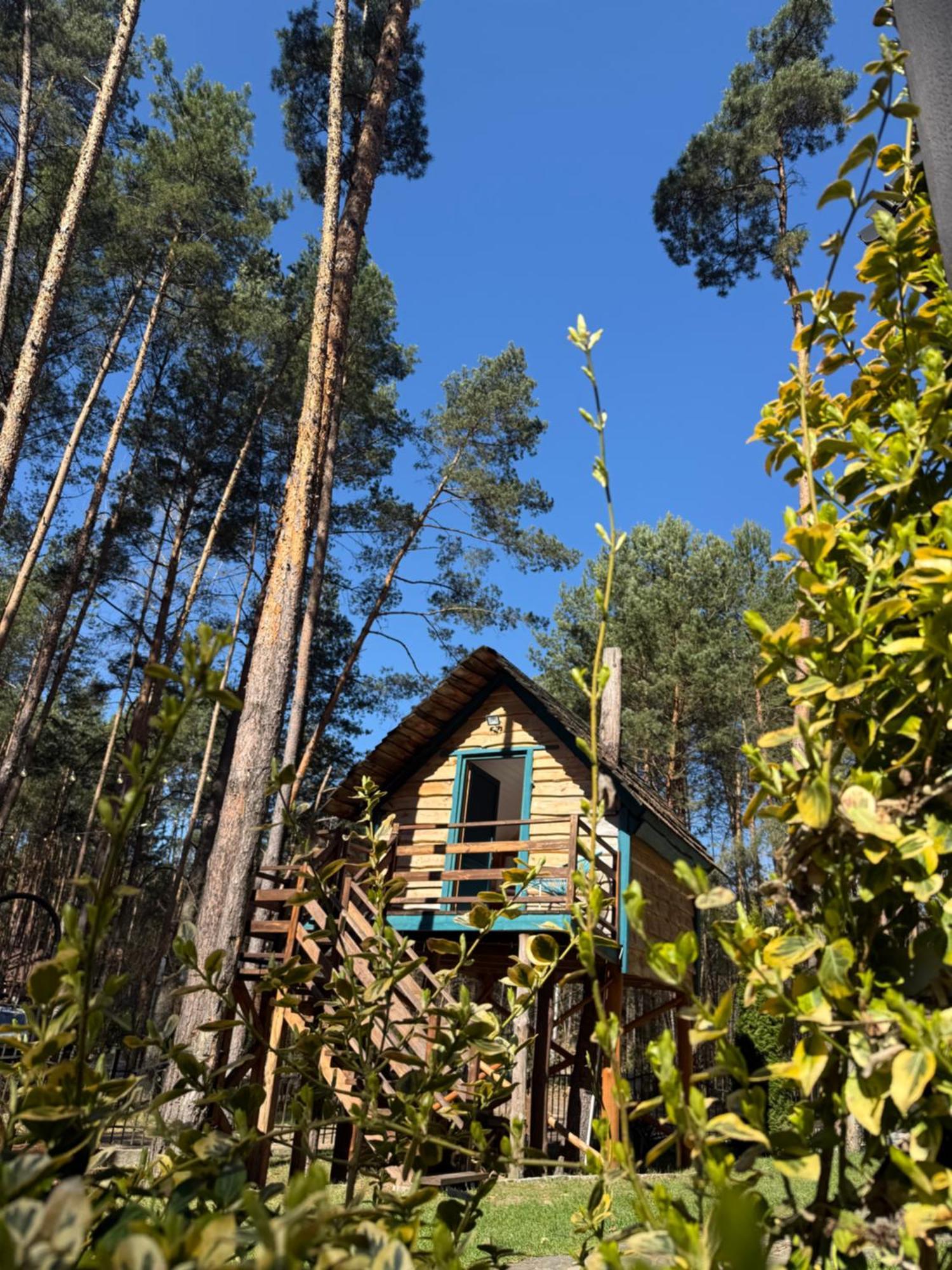 Domek W Lesie Nad Zalewem Chancza Εξωτερικό φωτογραφία